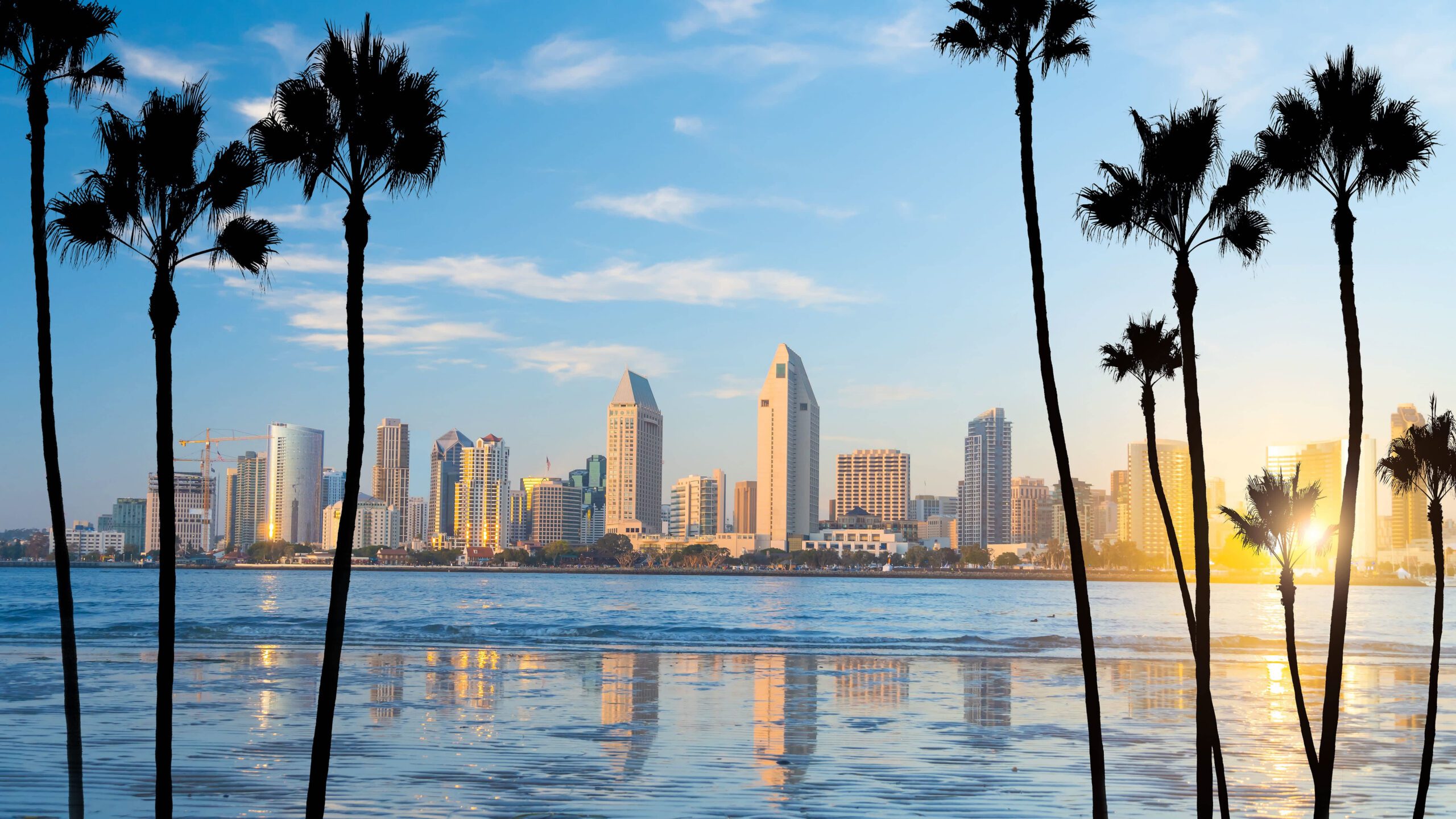 Display Design and Fabrication in San Diego